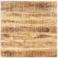 Vidaxl - Dessus de table Bois de manguier solide 15-16 mm 60x60 cm