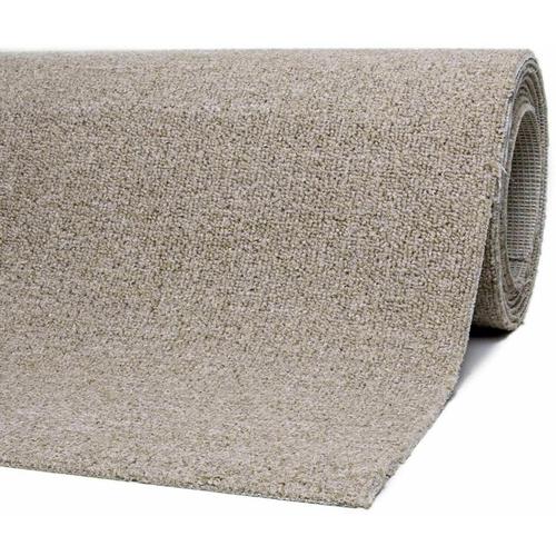 Teppichboden Auslegware Meterware Bodenbelag 200 x 300 cm Beige - Beige