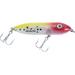 Heddon Super Spook Boyo Topwater SKU - 100286