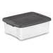 Sterilite ShelfTotes Clear Latched Plastic Storage Container Plastic in Gray | 7.75 H x 19.88 W x 15.5 D in | Wayfair 18 x 19363V06