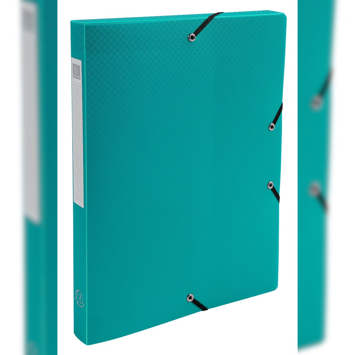 Exacompta 59683E 8x Archivbox aus PP 700µ blickdicht, Rücken 25mm, 25x33cm für DIN A4 - Grün Image