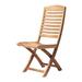 ARB Teak & Specialties Andell Modern Beach Chair Solid Wood in Brown/Orange | 37.75 H x 17.25 W x 23 D in | Wayfair CHR529