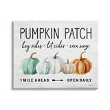 Stupell Industries Pumpkin Patch Farmhouse Sign Autumn Orange Green Gourds Oversized Wall Plaque Art By Lettered & Lined Canvas | Wayfair