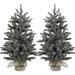 Fraser Hill Farm Set of Two 4.8-Ft. Heritage Pine Artificial Trees with Bases and Multi-Color String Lights