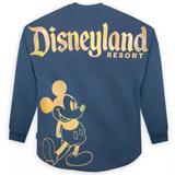 Disney Tops | 2023 Disney Parks Walt Disney World 100th Anniversary Spirit Jersey Adult M & L | Color: Blue/Purple | Size: Various