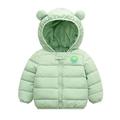 (0-5 years) Boys and Girls Down Jacket Padded Jacket Hood Winter Cotton Jacket Long Sleeve Plain Wind Jacket Hoode Unisex Children Thick Coat Warm, Green, 4-5 Years