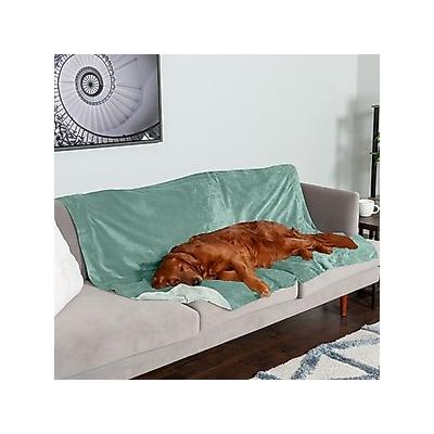 FurHaven Waterproof Velvet Dog & Cat Throw Blanket, Celadon Green, X-Large