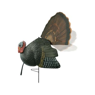 Hunting+Archery+Equipment