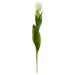 Nearly Natural 22 in. Tulip Artificial Flower White - Set of 8
