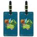 Nature Trackers Club Dinosaur Train Luggage ID Tags Suitcase Carry-On Cards - Set of 2