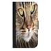 Cat Up Close - Passport Cover / Card Holder for Travel