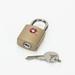 American Tourister 2 Pack key Lock - Gold