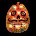 Northlight Seasonal 15" Lighted Sugar Skull Pumpkin Halloween Window Silhouette | 15 H x 11.5 D in | Wayfair NORTHLIGHT YS92725