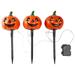 Northlight Seasonal Lighted Jack-o-Lantern Halloween Pathway Markers in Orange | 14.5 H x 60 D in | Wayfair NORTHLIGHT AR92060