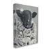 Stupell Industries Vintage Dorper Sheep Farm Animal Shaggy Fur Stretched Canvas Wall Art By Suzi Redman Canvas in Black | Wayfair aj-275_wd_10x15