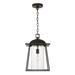 Longshore Tides Mastroianni 1 -Bulb 16.25" H Outdoor Hanging Lantern Glass/Aluminium/Metal in Brown | 16.25 H x 10.5 W x 10.5 D in | Wayfair