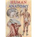 Human Anatomy Taj Big Books