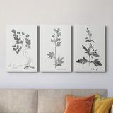 Red Barrel Studio® Botanical Imprint I - 3 Piece Wrapped Canvas Painting Set Canvas in Black/Blue/Green | 12 H x 24 W x 1 D in | Wayfair