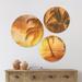 East Urban Home Designart 'Bright Sunset At Barbados Island' Modern Seascape Wall Art Set Of 3 Circles in Brown | 34 H x 44 W x 1 D in | Wayfair