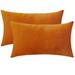 Everly Quinn Set Of 2 Throw Pillow Velvet Cushion Covers Velvet in Orange | 14 H x 20 W x 1 D in | Wayfair 7FF4545832EA41D8BB48683C40E003A9