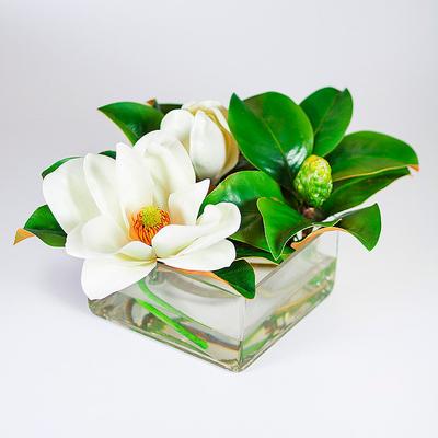 Magnolia Arrangement in Square Glass Cube - Frontgate