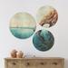 East Urban Home Designart 'Underwater Fairy & Shark Ocean & Mountain World' Nautical & Coastal Wall Art Set Of 3 Circles in Brown | Wayfair