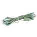 The Holiday Aisle® 50 Light String Lights in Green/White | 2 H x 450 W x 2 D in | Wayfair DC124A60A9474E46B45D67E44DCF8571