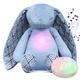 Diddou White Noise Machine Baby Newborn Toys Baby Sleep Night Light Teddy Shusher Newborn Girl Boy Toys Shower Gifts USB Rechargeable