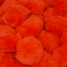 2 Inch Orange Craft Pom Poms 25 Pieces