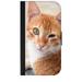 Winking Kitten - Passport Cover / Card Holder for Travel