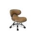 Isabelle & Max™ Anciaux Desk/Activity Chair Metal in Brown | 24.5 H x 21 W x 21 D in | Wayfair DF8AC658BECB4801B12BF7A2C65C4622