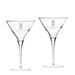 Providence Friars Team 10 oz. 2-Piece Luigi Bormioli Titanium Martini Glass Set