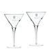 Saint Louis Billikens 10 oz. 2-Piece Luigi Bormioli Titanium Martini Glass Set