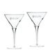 Elon Phoenix 10 oz. 2-Piece Luigi Bormioli Titanium Martini Glass Set