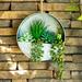 Olvera 5 - Piece 8" Artificial Succulent Plant in Pot Liner Plastic/Metal Laurel Foundry Modern Farmhouse® | 8 H x 8 W x 3 D in | Wayfair