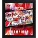 Tampa Bay Buccaneers Framed 15" x 17" 2021 NFC South Division Champions Collage