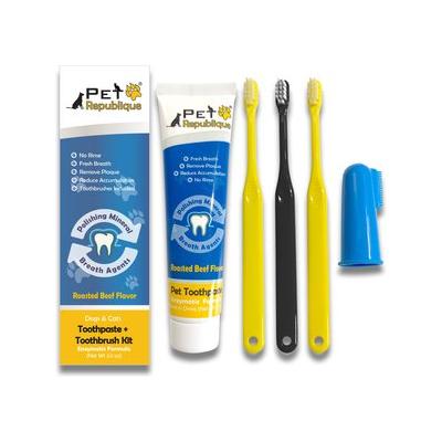 Pet Republique Enzymatic Toothpaste Kit with Handle Toothbrushes Beef Flavor for Dogs & Cats, 3.5-oz