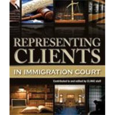 Representing Clients In Immigration Court