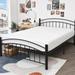 Queen Medium 10" Foam Mattress - Alwyn Home Lovitz Sofa Bed Jacquard | 80 H x 60 W 10 D in Wayfair 10E6DC400F5246C5966A46145D17882E