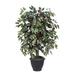 Primrue Artificial Capensia Deluxe Potted Tree Silk/Plastic in Gray | 48 H x 30 W x 30 D in | Wayfair 4637BABA7DCB48F59E2F4566AEC3F0DD