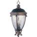 Maxim Lighting Camden 26 Inch Tall 3 Light Outdoor Hanging Lantern - 41429WGGO
