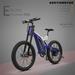 Electric Bike Fat Tire P7 48V 20AH Removable Lithium Battery