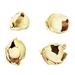 Primrue Cacho Pods, Dried Cacho Pods, Dried | 3 H x 2 W x 2 D in | Wayfair 7DBDC8EE032047B7B6982980A11BF1DD