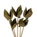 Primrue Sora Pod attached to a Wood Stem, Dried 16" Sora Pod attached to a Wood Stem, Dried | 16 H x 6 W x 9 D in | Wayfair