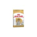 Royal Canin - Maltese Adult Nourriture pour Chien 500 g (3182550782180)