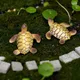 2 pièces Mini tortue de mer modèle de tortue en résine Figurines aquarium décoration fée jardin