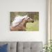 Red Barrel Studio® Horse In The Field III Canvas in White | 24 H x 36 W x 1.25 D in | Wayfair B90188807DCC4296BD3B988DCBE3CD9F