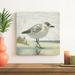 Rosecliff Heights Beach Bird I Canvas | 20 H x 20 W x 1.25 D in | Wayfair 9B794BC064C442F5AE56EC76354F6B53