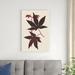 Gracie Oaks Japanese Maple Leaves I Canvas in White | 36 H x 24 W x 1.25 D in | Wayfair F5E161F62F834FA1BF5C1508496E747C