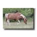 August Grove® Assateague Horse by Lori Deiter - Wrapped Canvas Photograph Metal in Green | 40 H x 60 W x 1.5 D in | Wayfair